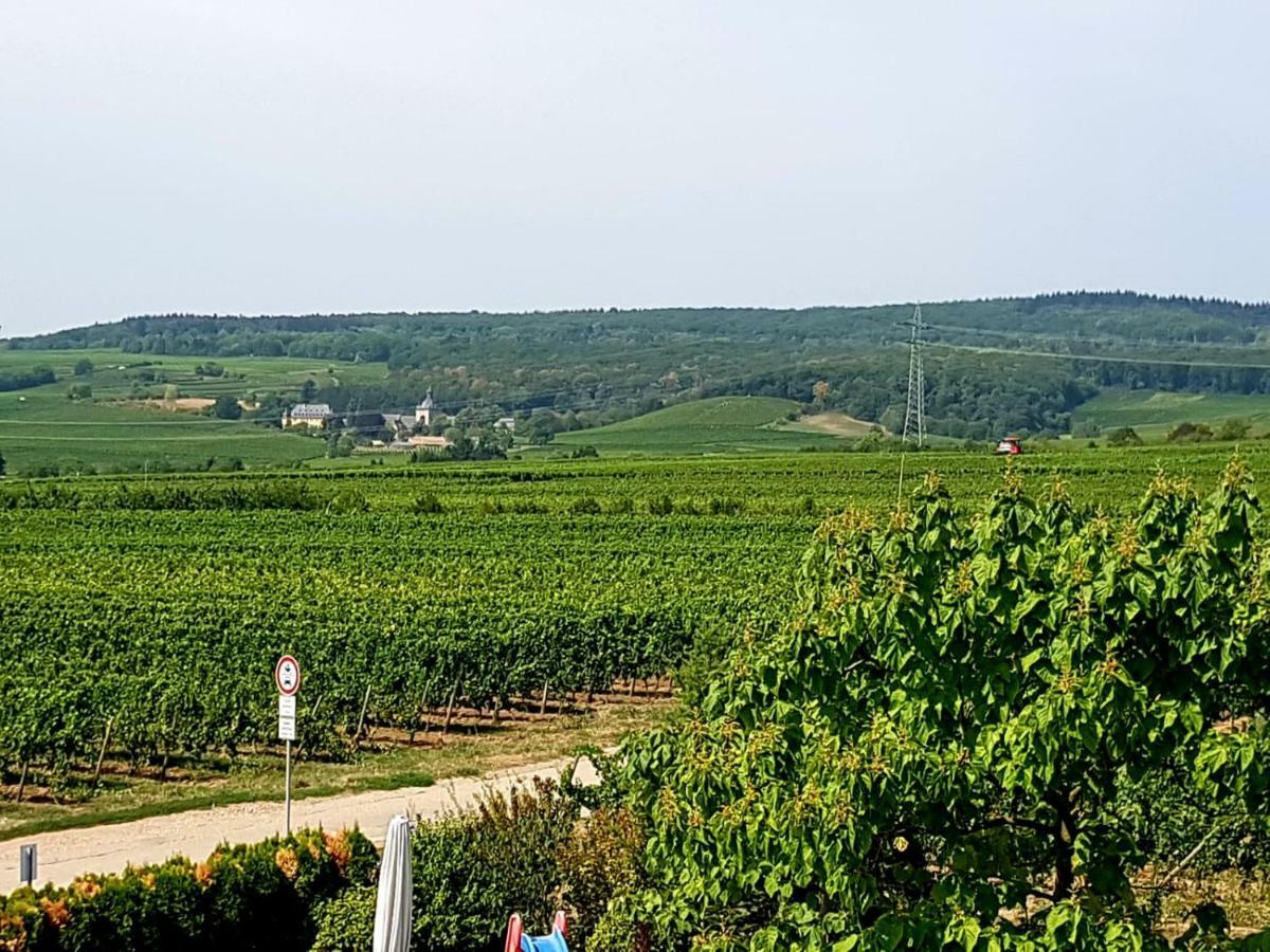 Ferienzimmer Weingut Mack โอสตริช-วินเคิล ภายนอก รูปภาพ