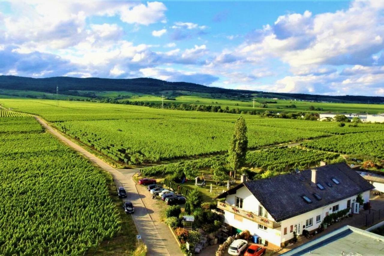 Ferienzimmer Weingut Mack โอสตริช-วินเคิล ภายนอก รูปภาพ